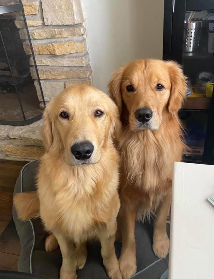 Fisher and Max, submitted by Lauren Hegg